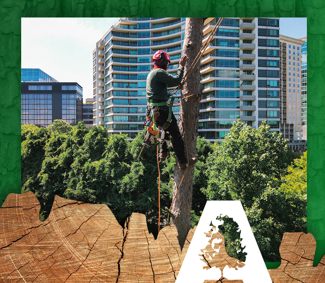 Photo of ArborForce Tree Services