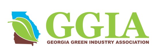 GGIA ezgif.com webp to jpg converter.2410071351200