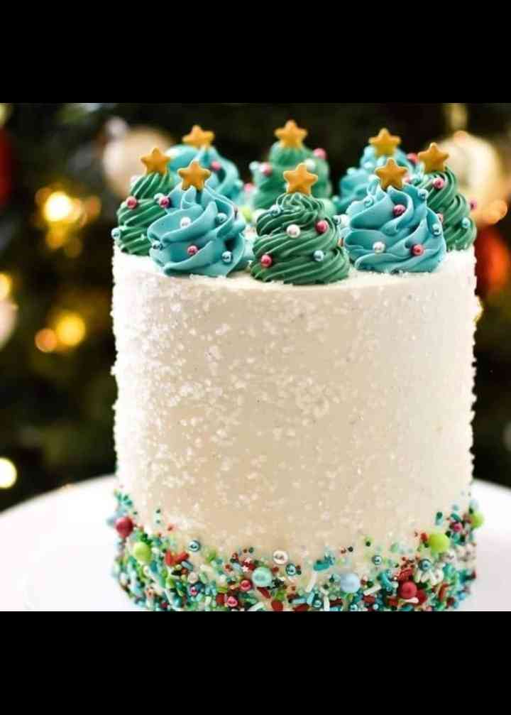 SPRINKLES CHRISTMAS CAKE