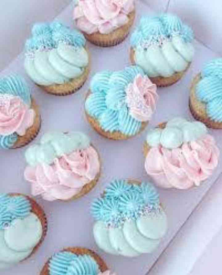 YUMMY CUPCAKES DOZEN 3