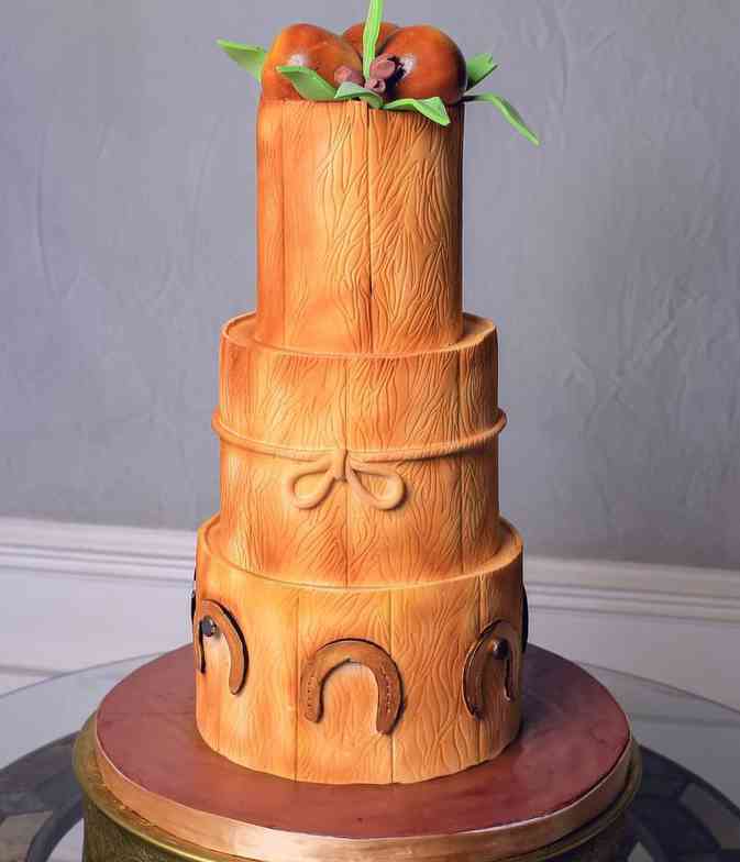 WOOD THEMED INTRODUCTION CAKE