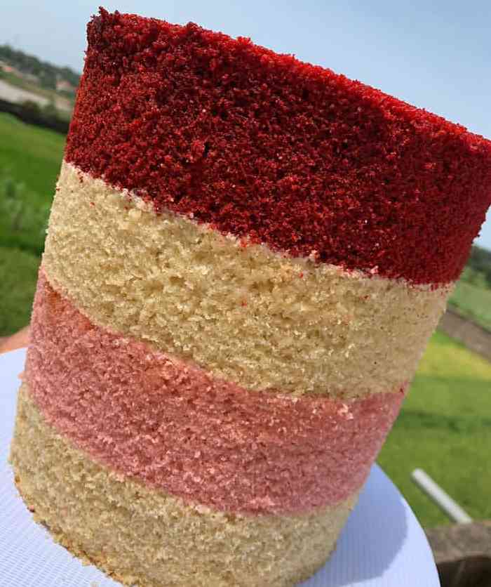 NAKED LAYERED BIRTHDAY CAKE 