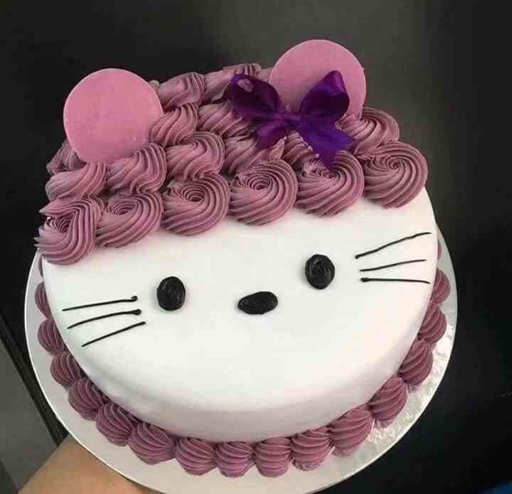 CAT CAKE STYLE 