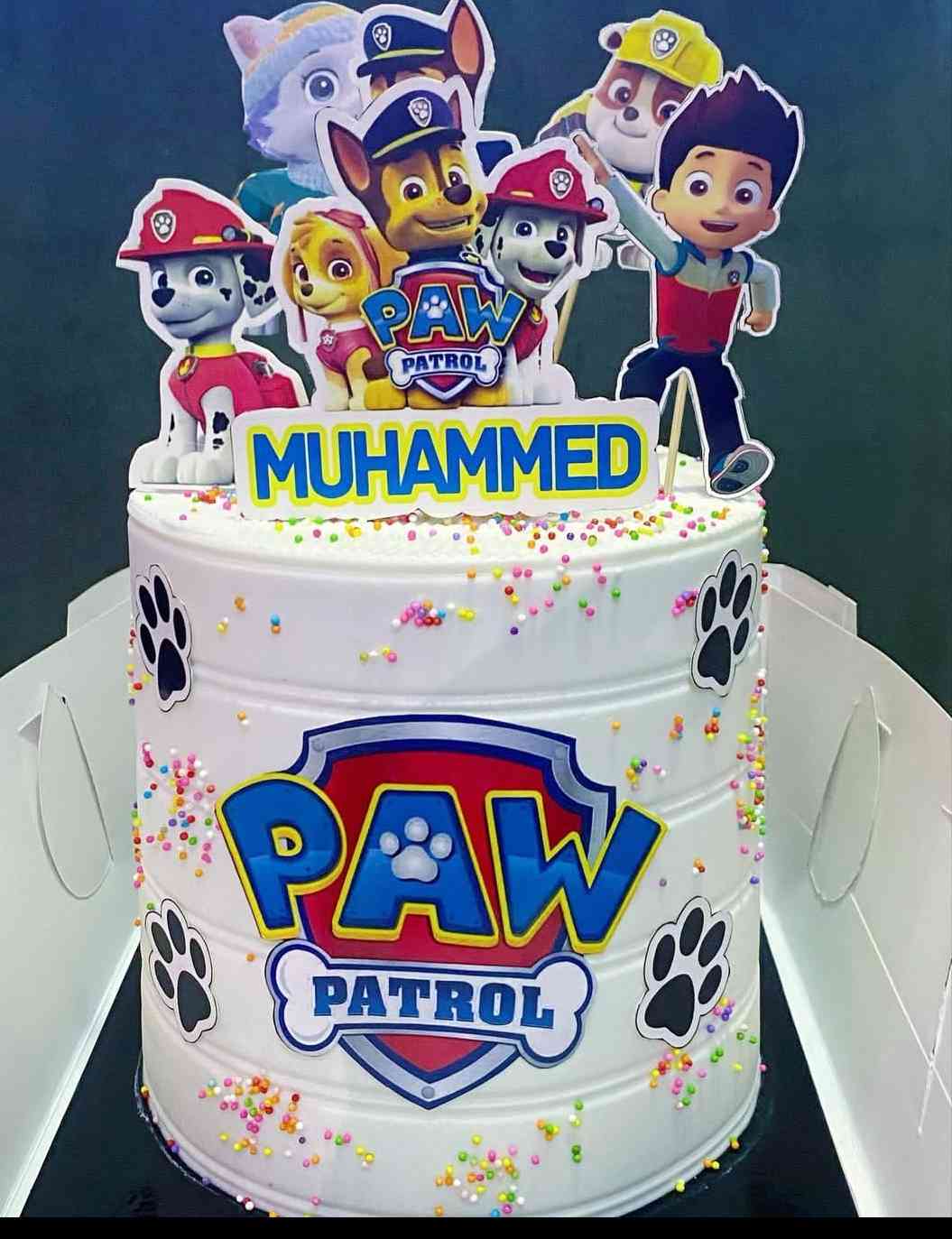 PAW PATROL CAKE 450