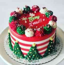 10ICH XMAS CAKE .NQ