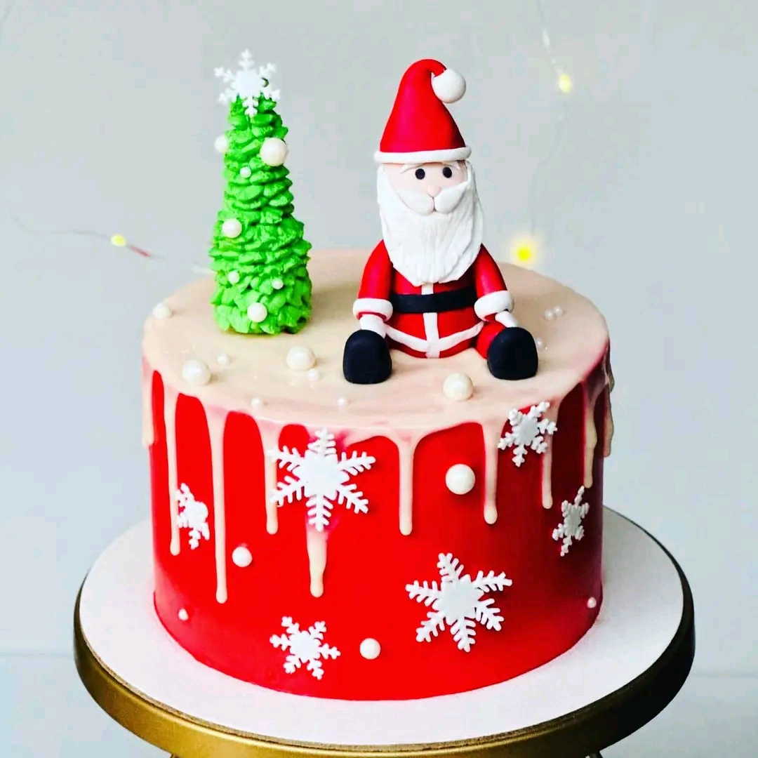SANTA CHRISTMAS CAKE 
