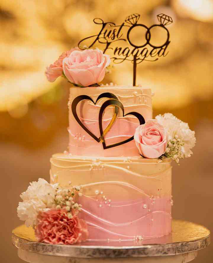 JUST ENGAGED CAKES 