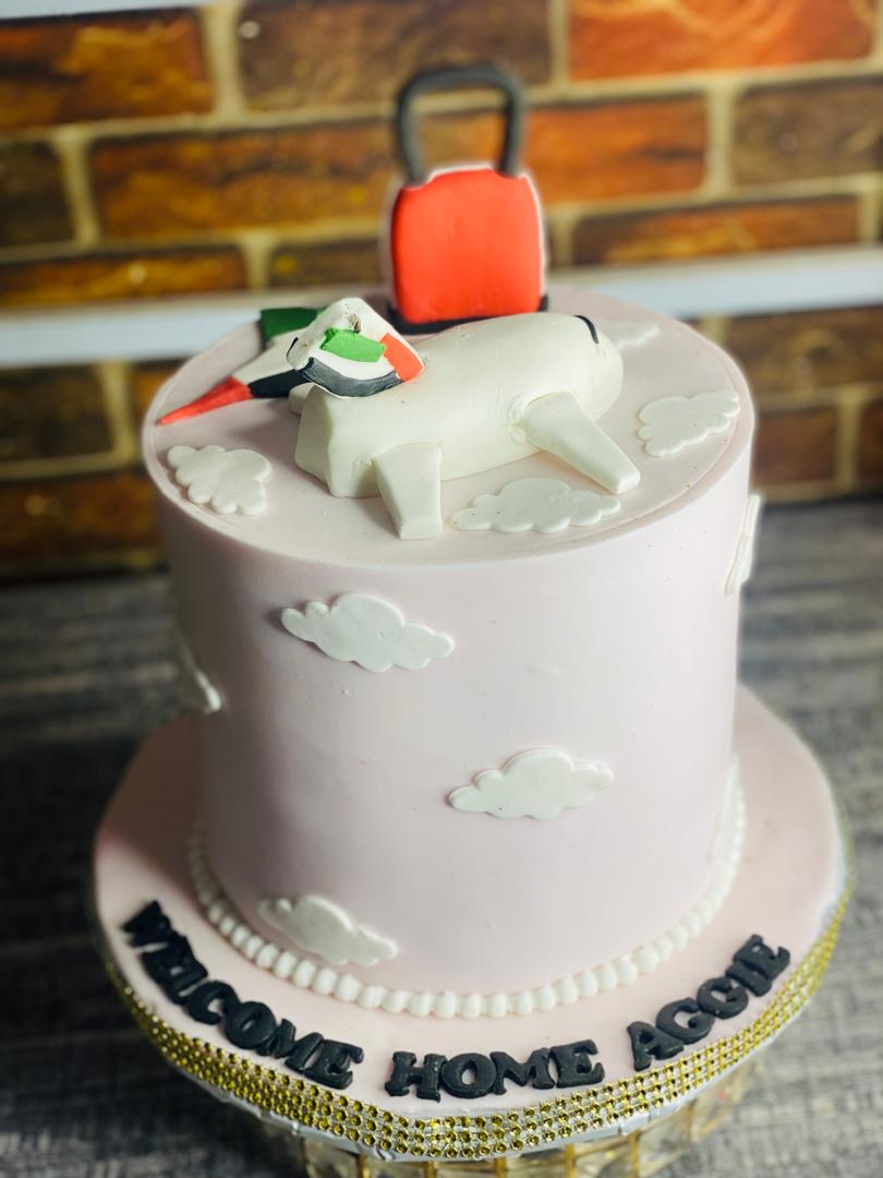 AEROPLANE CAKE