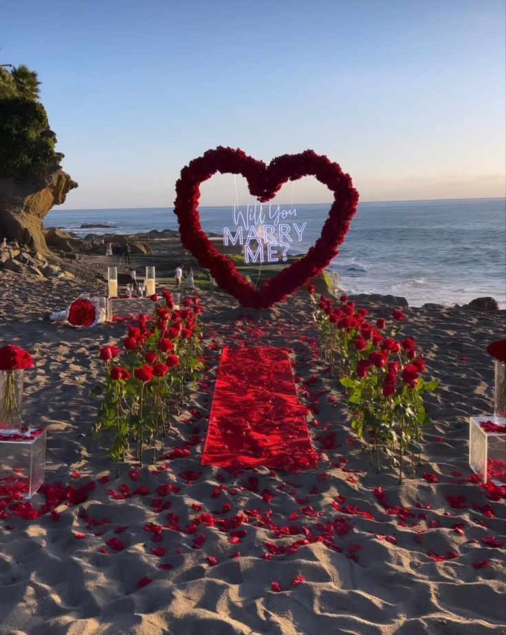 beach proposal setting 101