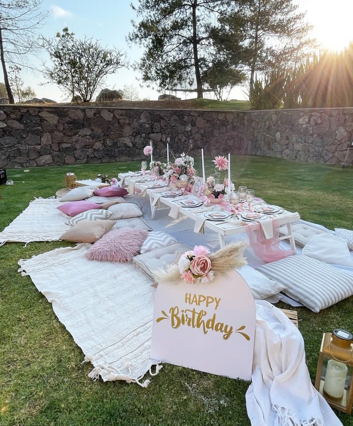 Birthday picnic pink and white theme 