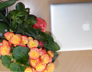 WorkDesk