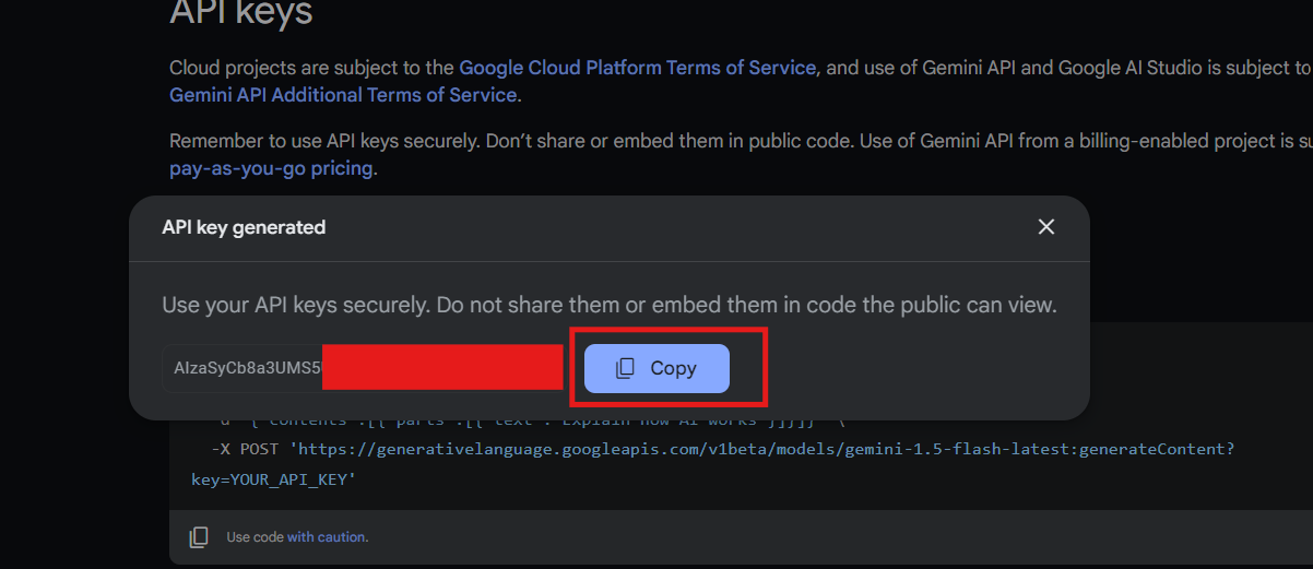 Copy API Key