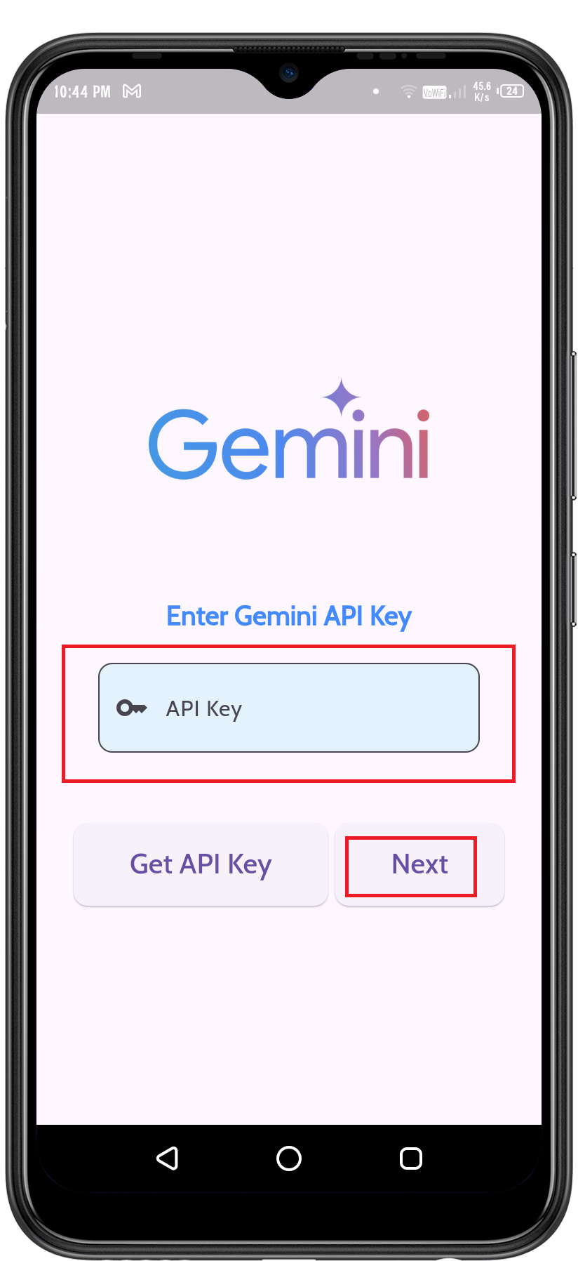 Paste API Key