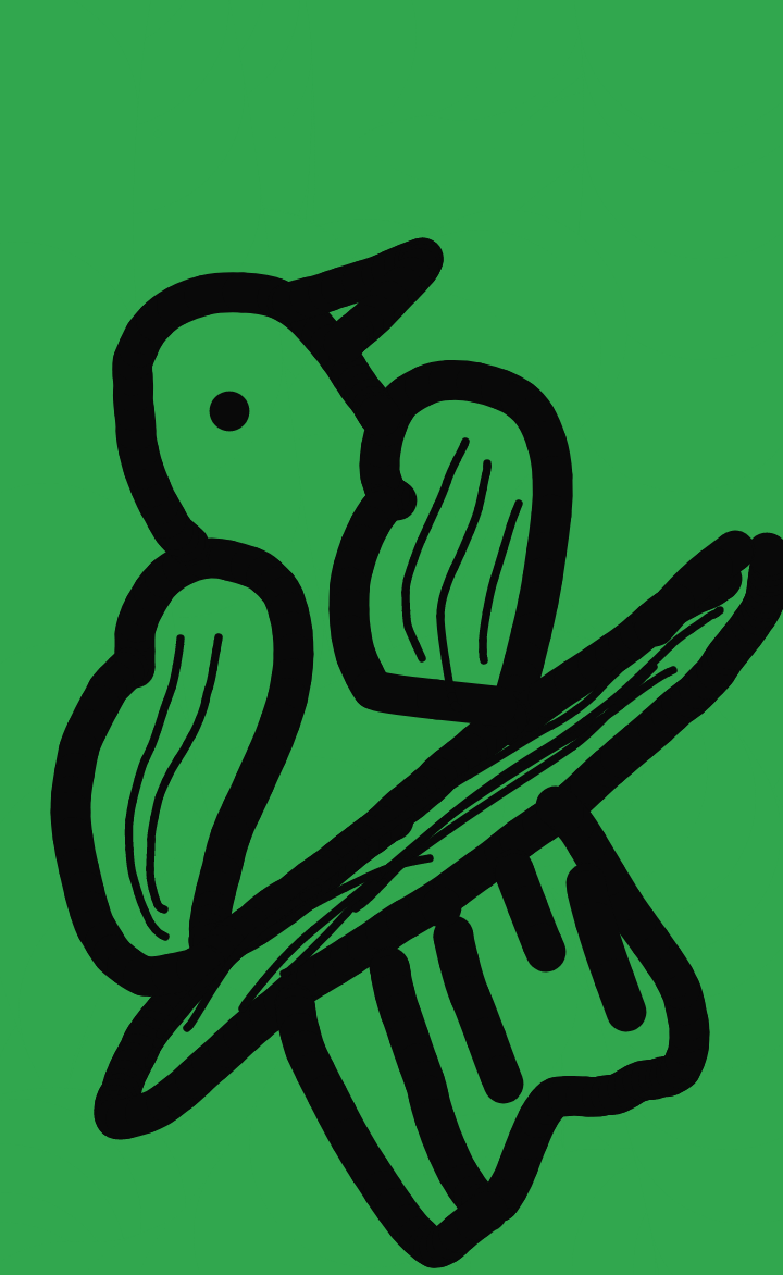 🐦 Bird