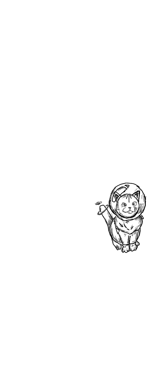 cat in space