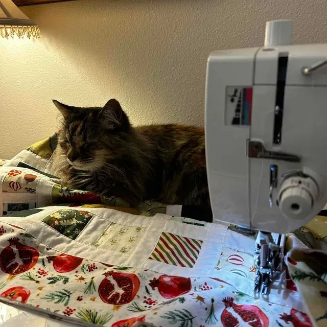 2024 Scrappy Christmas Quilt