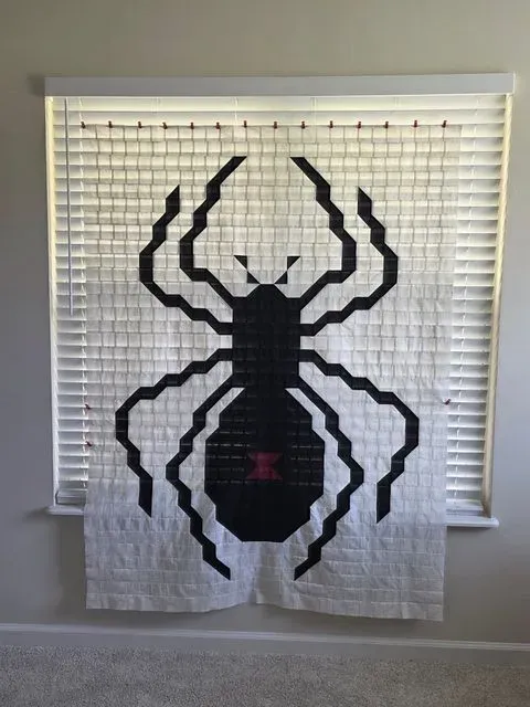 Black Widow Spider