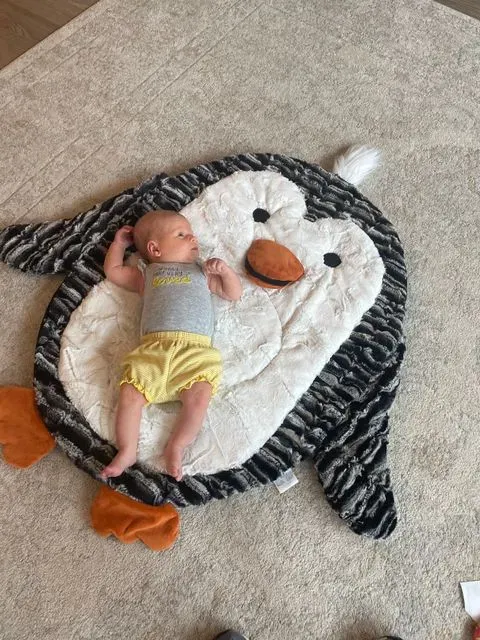 Elanor’s Penguin 