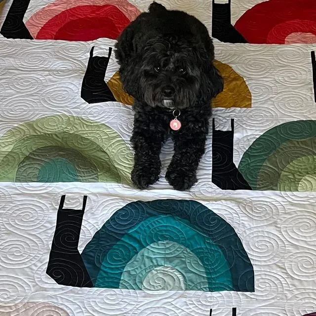Willow Quilts