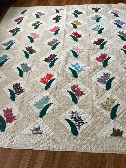 Tulips On Parade