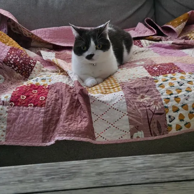 Tink's Quilt