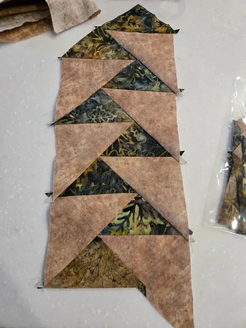 Class Project