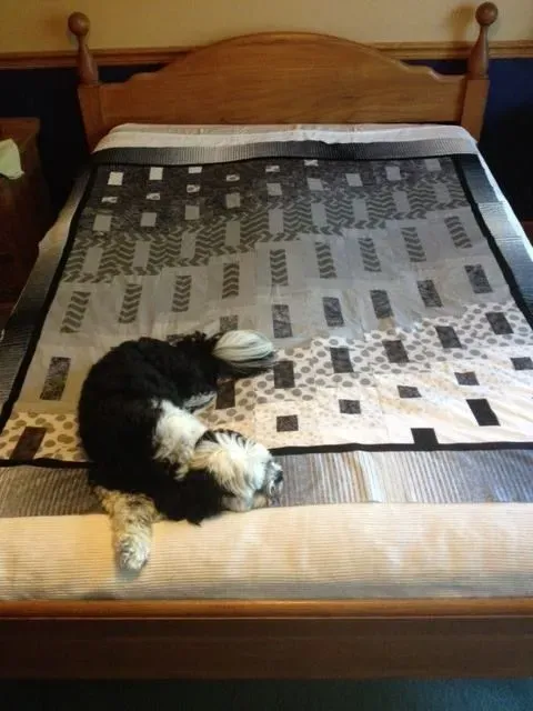 Mystery Quilt 
