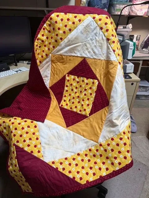Ladybug Quilt