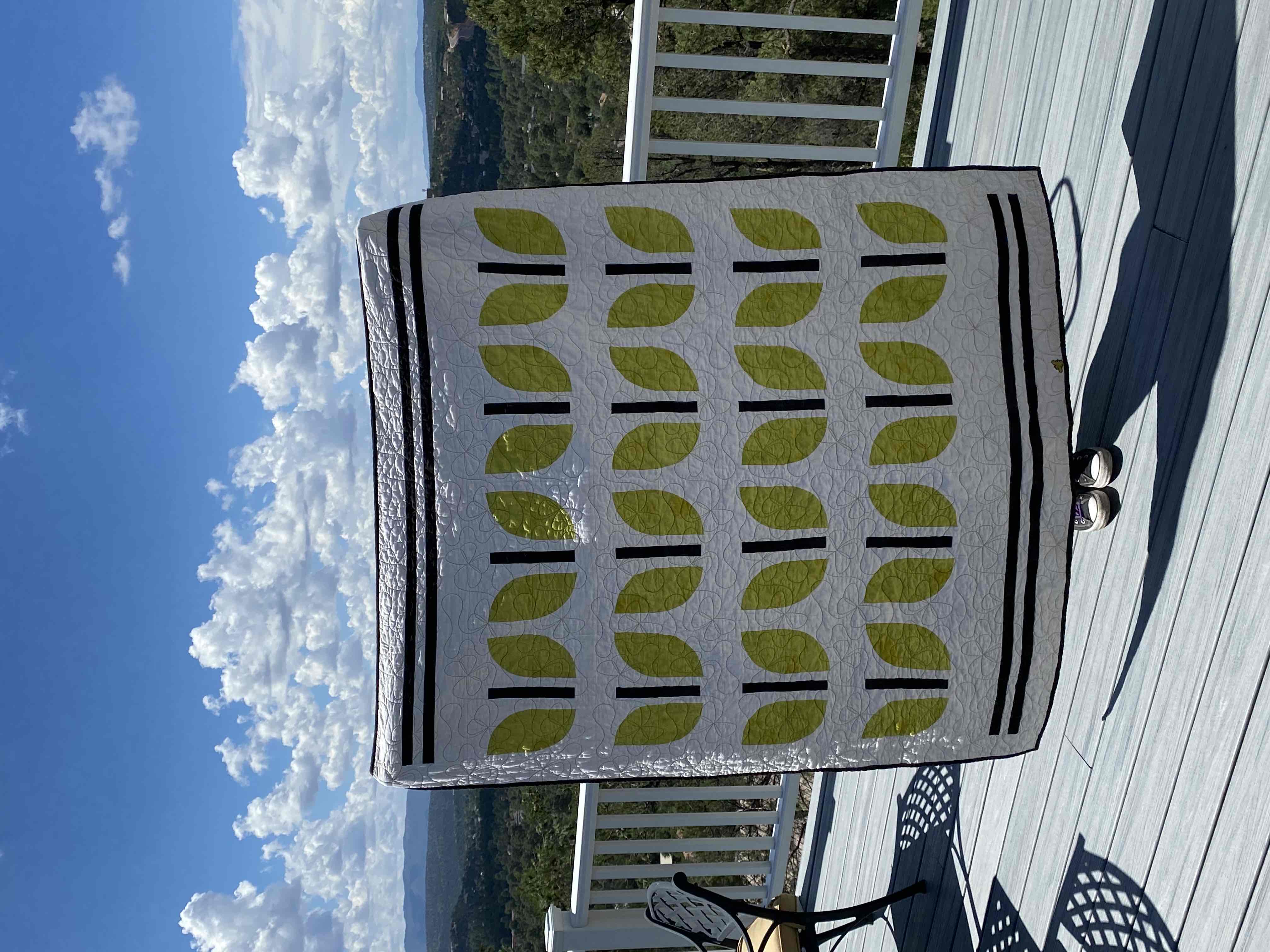 Genette’s Quilt