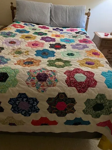 Grandmothers Flower Garden 2
