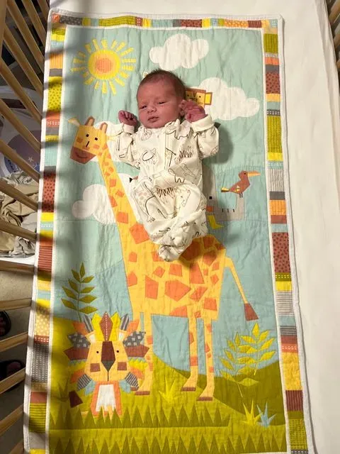 Sweet Safari 