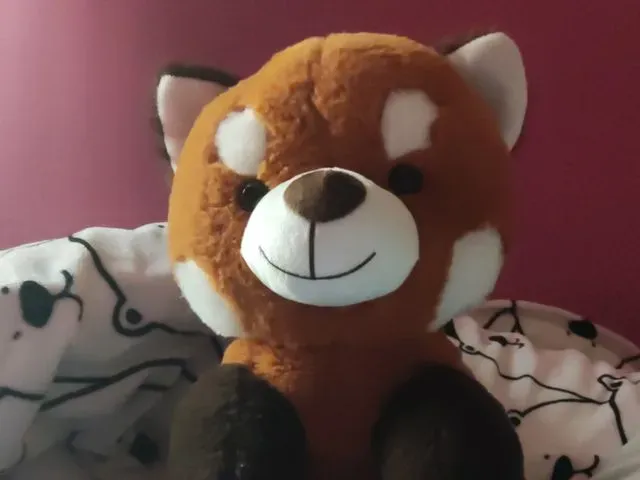 Koza Stepni