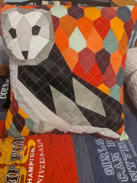 Barn Owl EPP Project