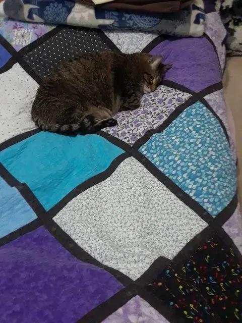 Squares For Robin