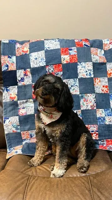 Scrappy Quilt for Daisy