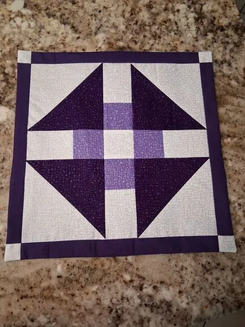 2026 Midnite Stars Pillow Cover