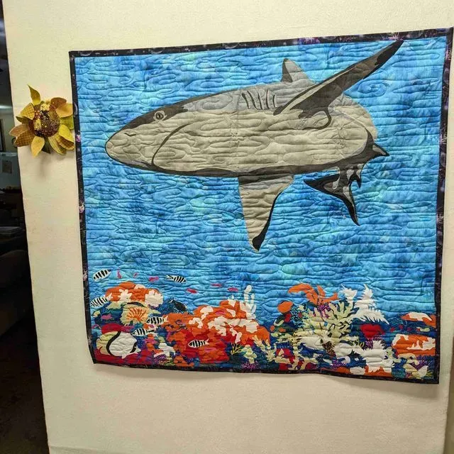 Reef Shark