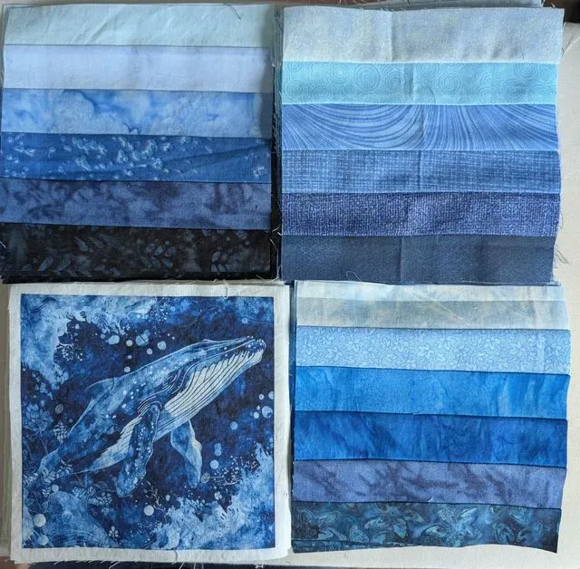 Sea Legs