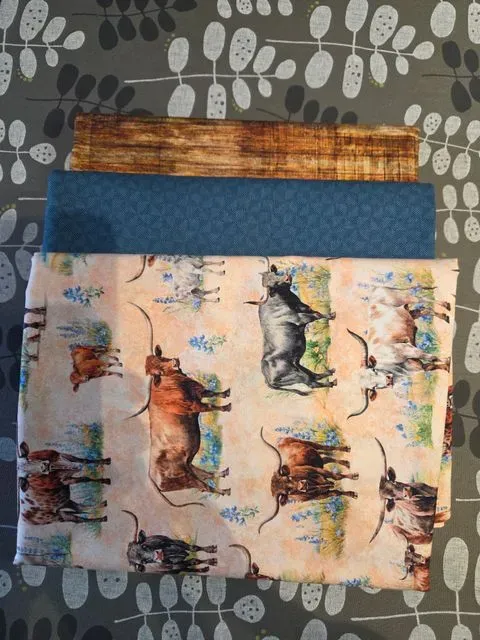 Longhorns 3 Yards 
