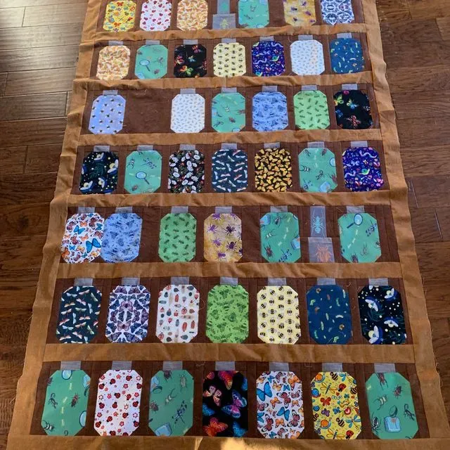 Bugs For An Entomologist 