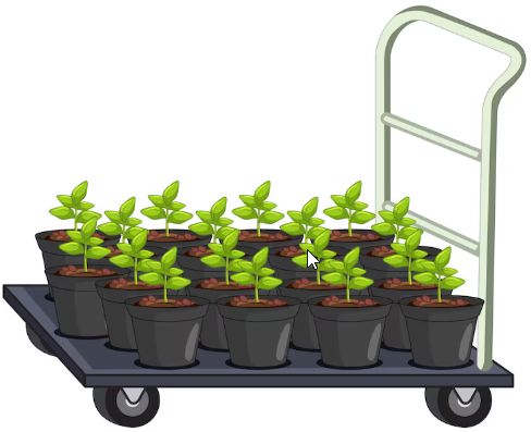 Nursery