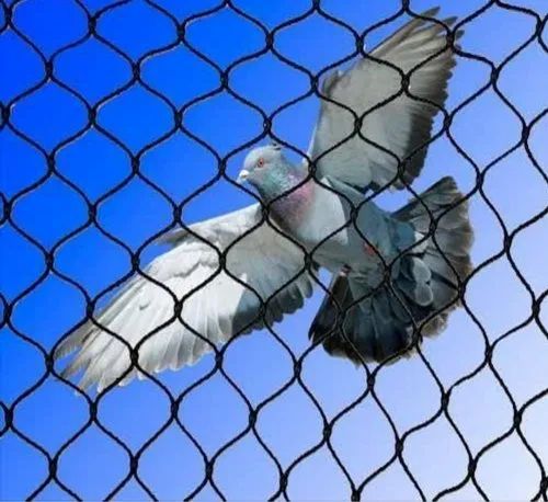 Bird Net Service
