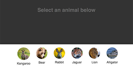 Animal Selector logo
