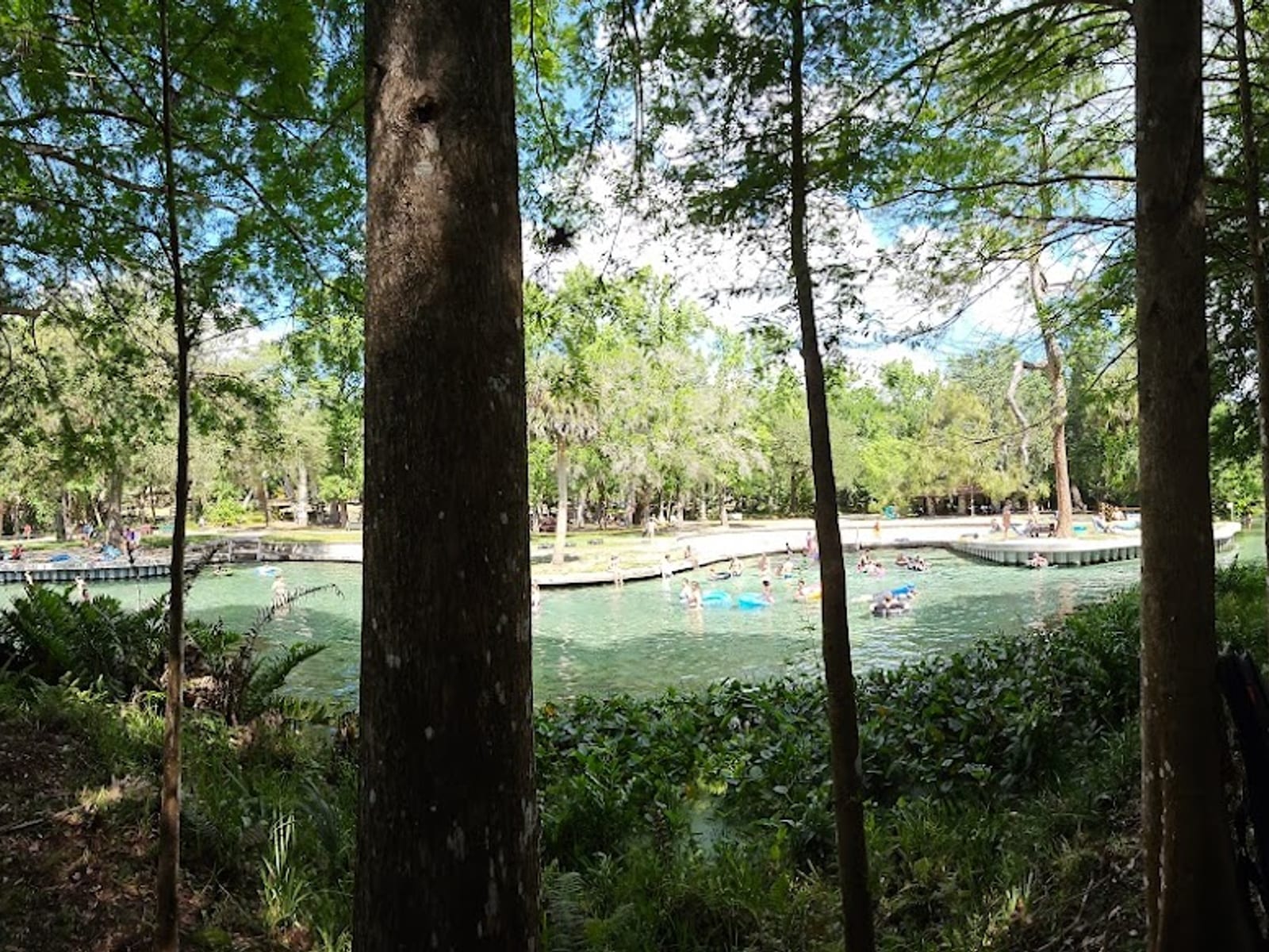Kelly Park