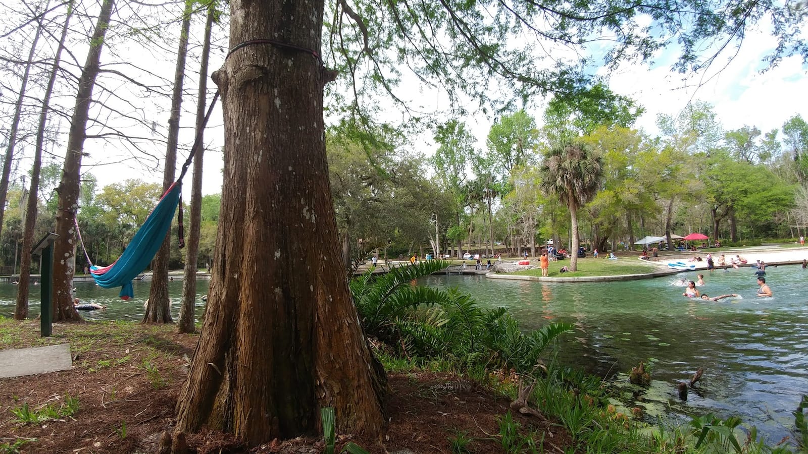 Kelly Park Rock Springs | MyApopka.com