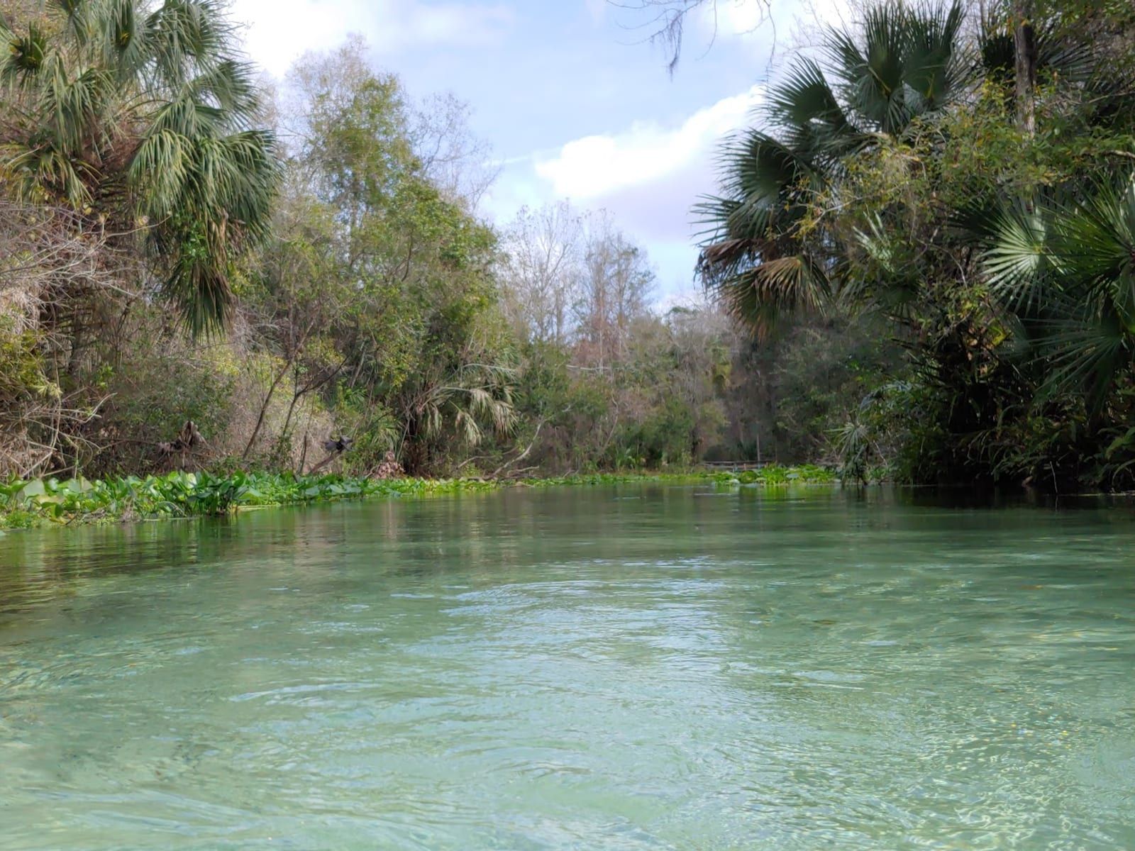 Kelly Park Rock Springs | MyApopka.com