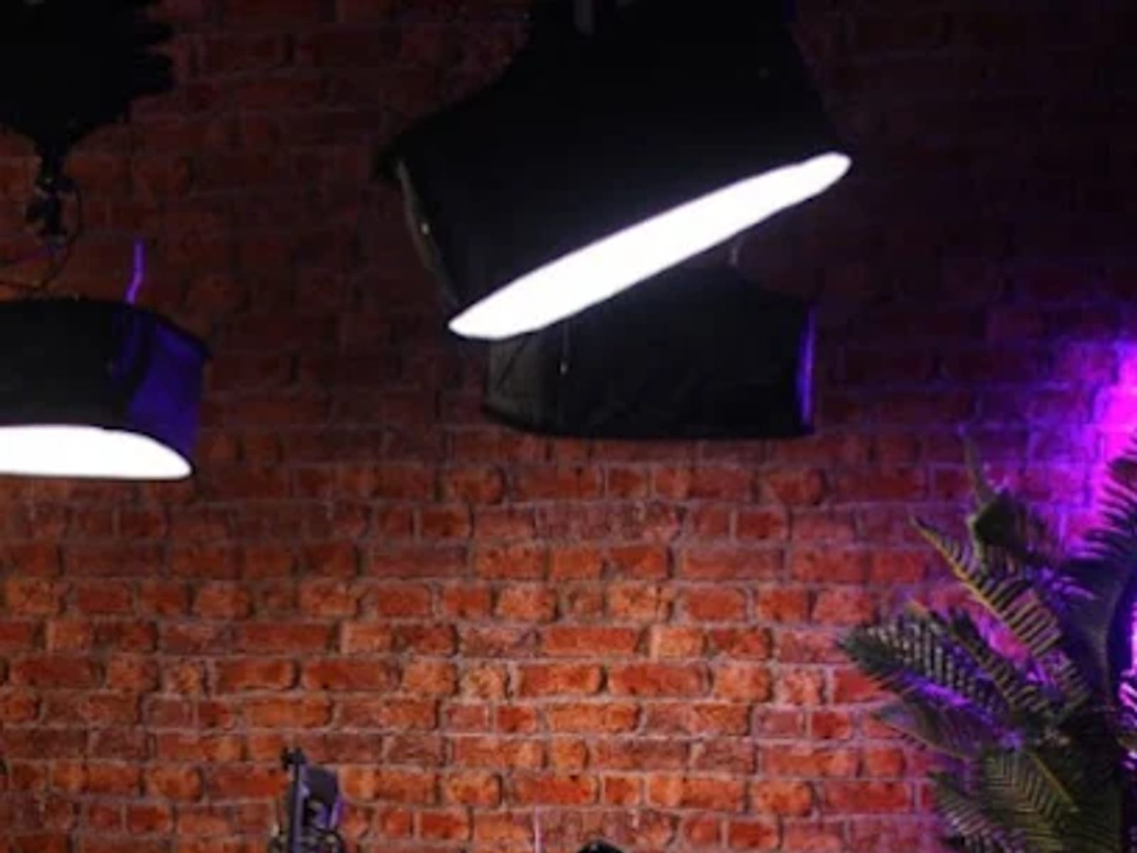 The Bloom Lounge | MyApopka.com