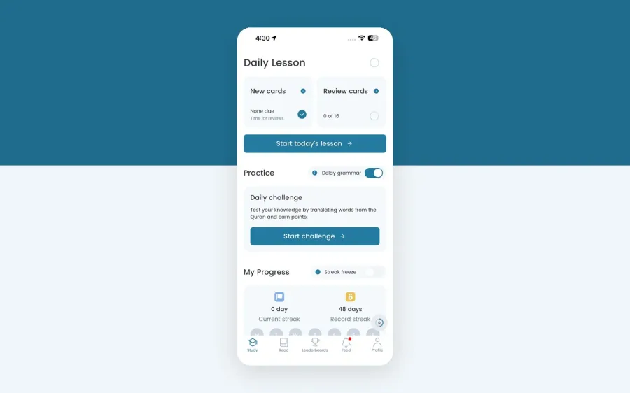 Daily lesson dashboard with streaks