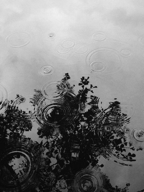 Is Love a Particle or a Wave?