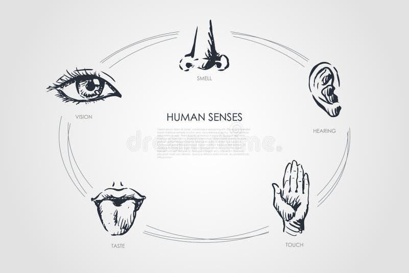 Locke posited that all human knowledge is derived from the combination of external sensation and internal reflection.
